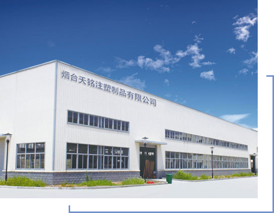 注塑(sù)加工,汽車零部(bu)件廠家,注塑廠(chang)家,車燈配件